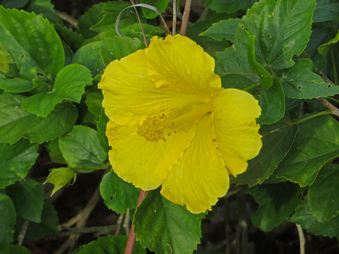 Key Biscayne Florida