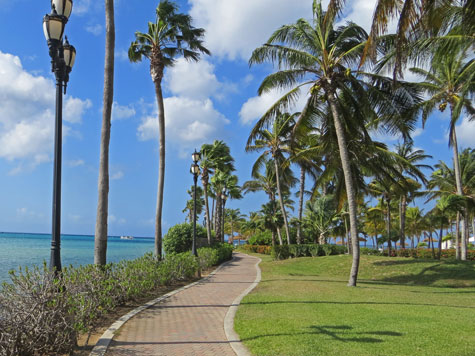 Aruba - Southern Caribbean